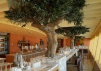 AIDA Cruises Wochenendangebot AIDA Cruises Wochenendangebot