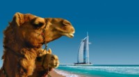 Special Dubai City & 7 Tage AIDA Orient Kreuzfahrt