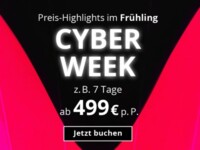 AIDA Cyber Week Special Preise