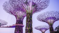 AIDA Australien & Indonesien ab/bis Singapur AIDA Australien & Indonesien ab/bis Singapur