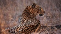 AIDA Transafrika Kreuzfahrt Südafrika & Namibia AIDA Transafrika Kreuzfahrt Südafrika & Namibia