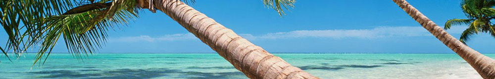 AIDA Fernreisen Kreuzfahrten <br/> mit Internet Flat