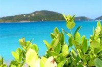 AIDA Karibik - Florida ab Miami 10/11 Tage AIDA Karibik - Florida ab Miami 10/11 Tage