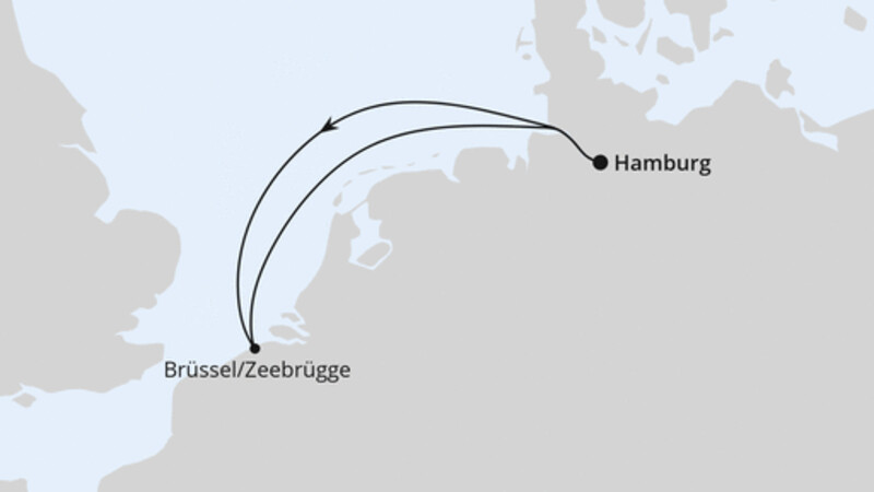 FESTIVAL Cruise FESTIVAL Cruise